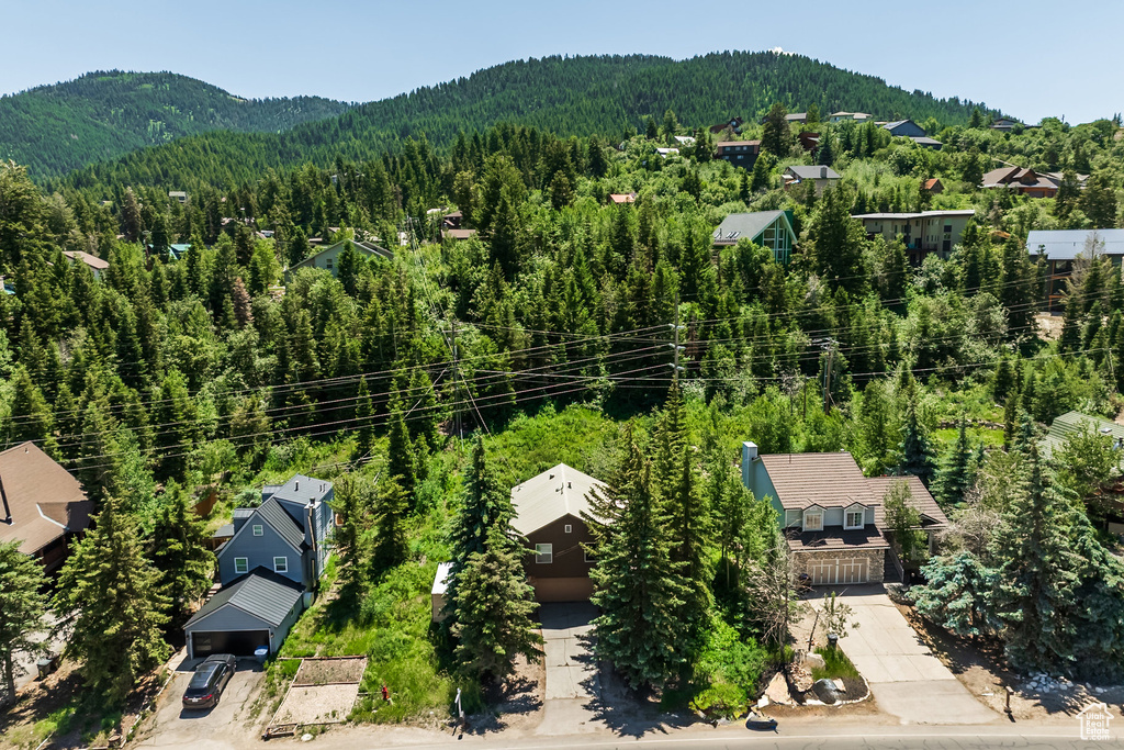 Bird's eye view of a forest and mountains