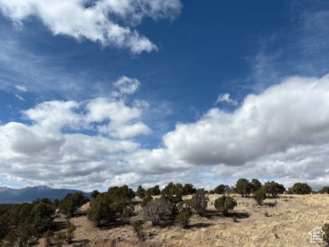 View of nature