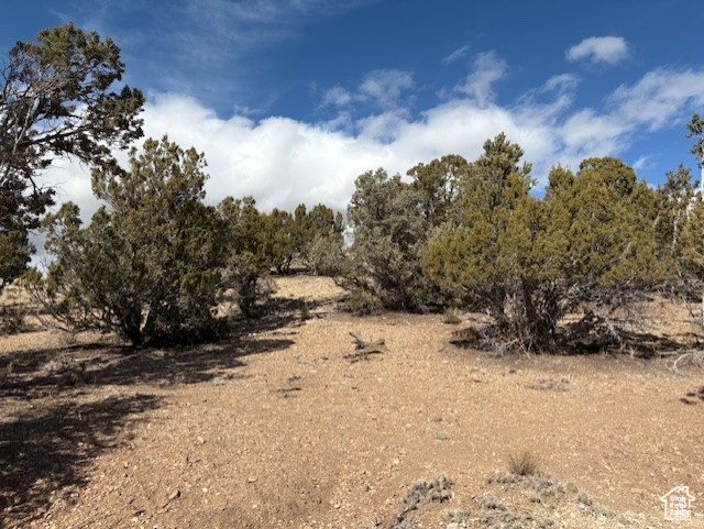 View of nature
