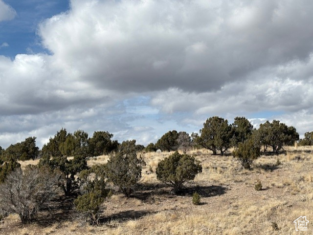 View of nature with a rural view