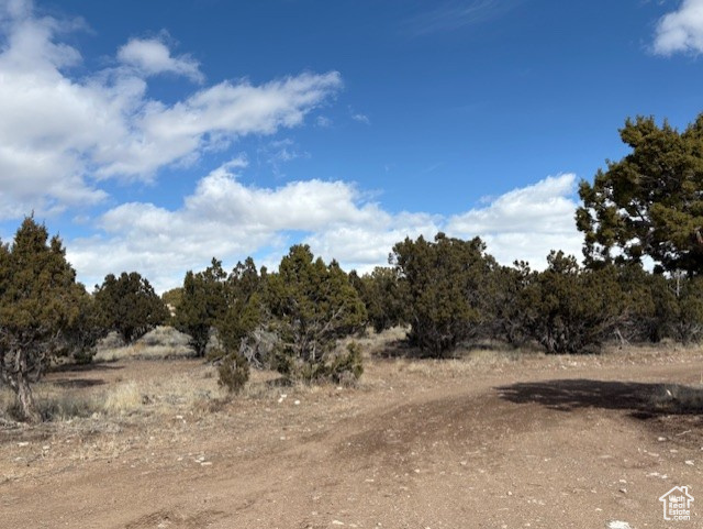 View of nature