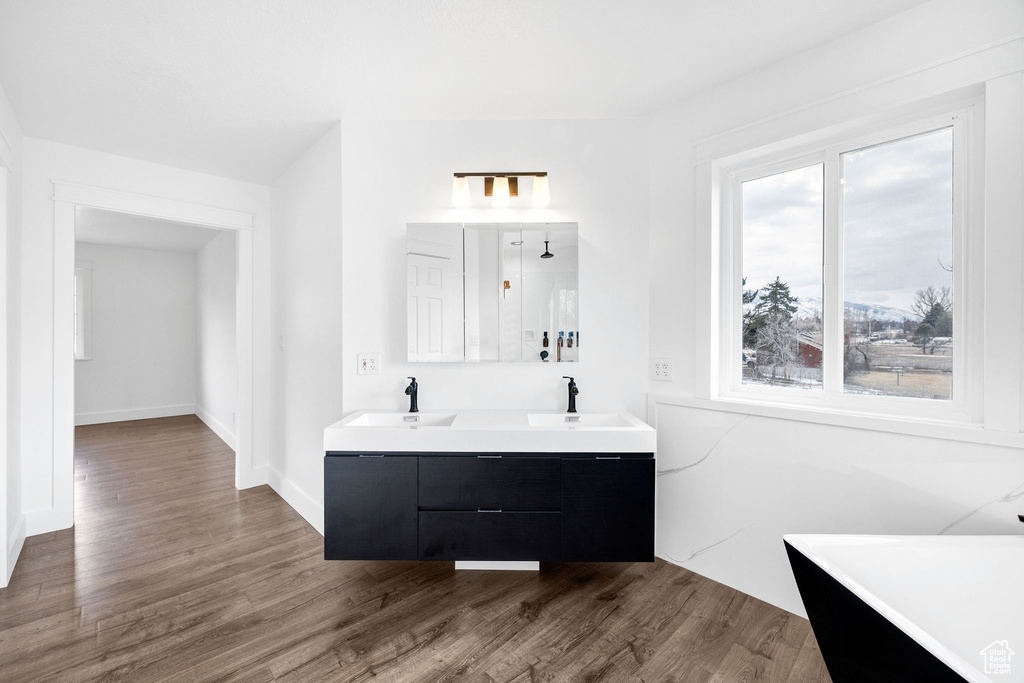 Full bathroom featuring a freestanding tub, a sink, and wood finished floors