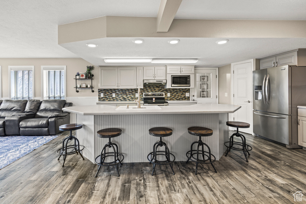 Kitchen with stainless steel appliances, a sink, dark wood finished floors, and under cabinet range hood