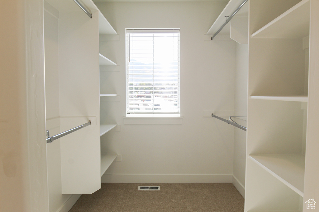 Spacious closet with carpet flooring and visible vents