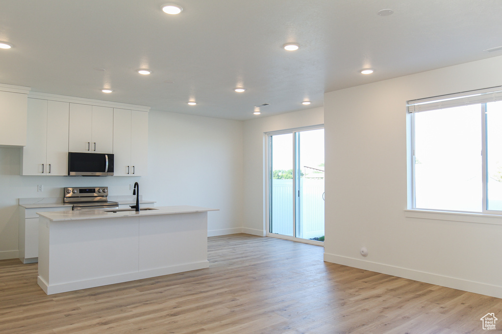 Kitchen featuring recessed lighting, light countertops, light wood-style flooring, appliances with stainless steel finishes, and a sink