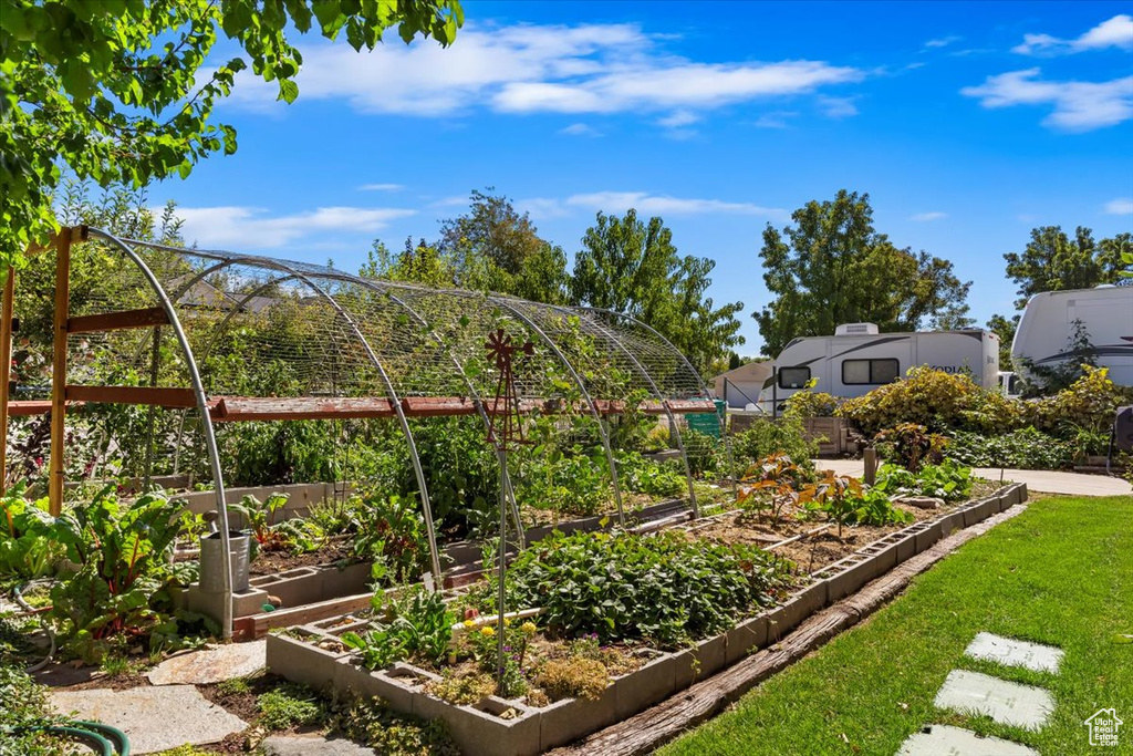 View of yard with a garden
