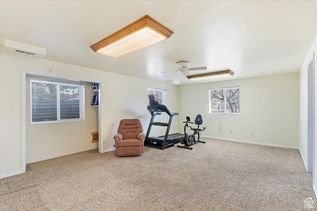 Exercise room featuring carpet floors, ceiling fan, and baseboards