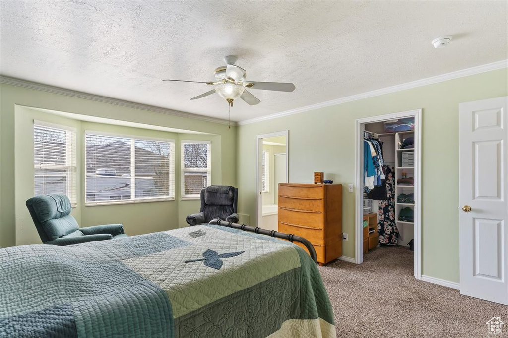 Bedroom featuring crown molding, a closet, a spacious closet, light carpet, and a textured ceiling