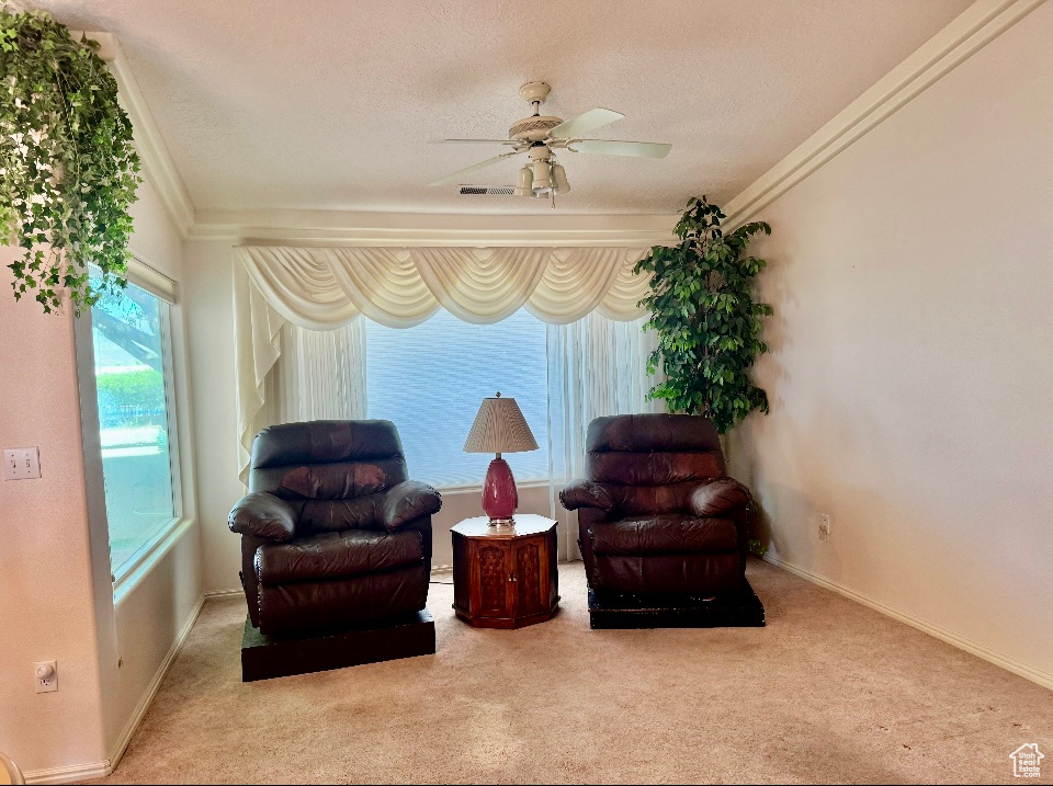Living area with ornamental molding, ceiling fan, carpet flooring, a textured ceiling, and baseboards