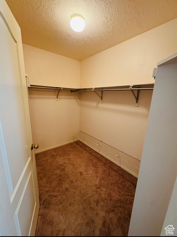 Walk in closet featuring carpet