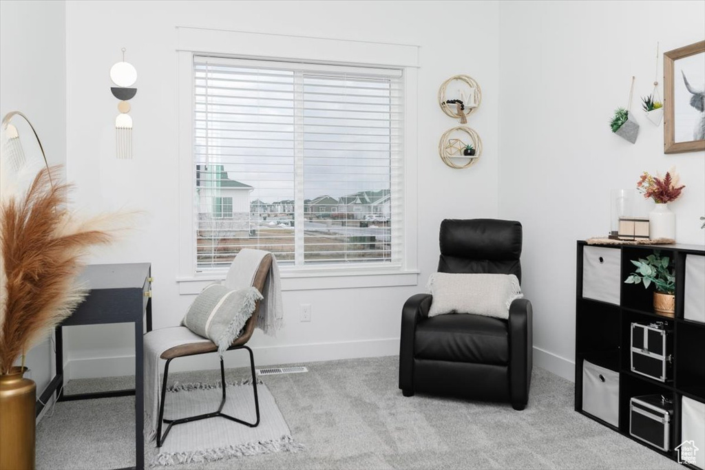 Home office with a healthy amount of sunlight, baseboards, and carpet flooring