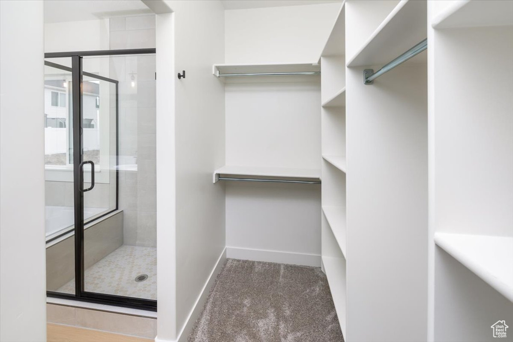 Walk in closet featuring carpet flooring