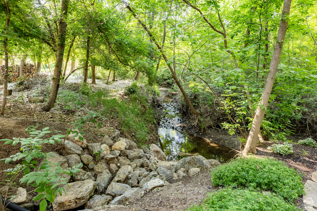 View of nature