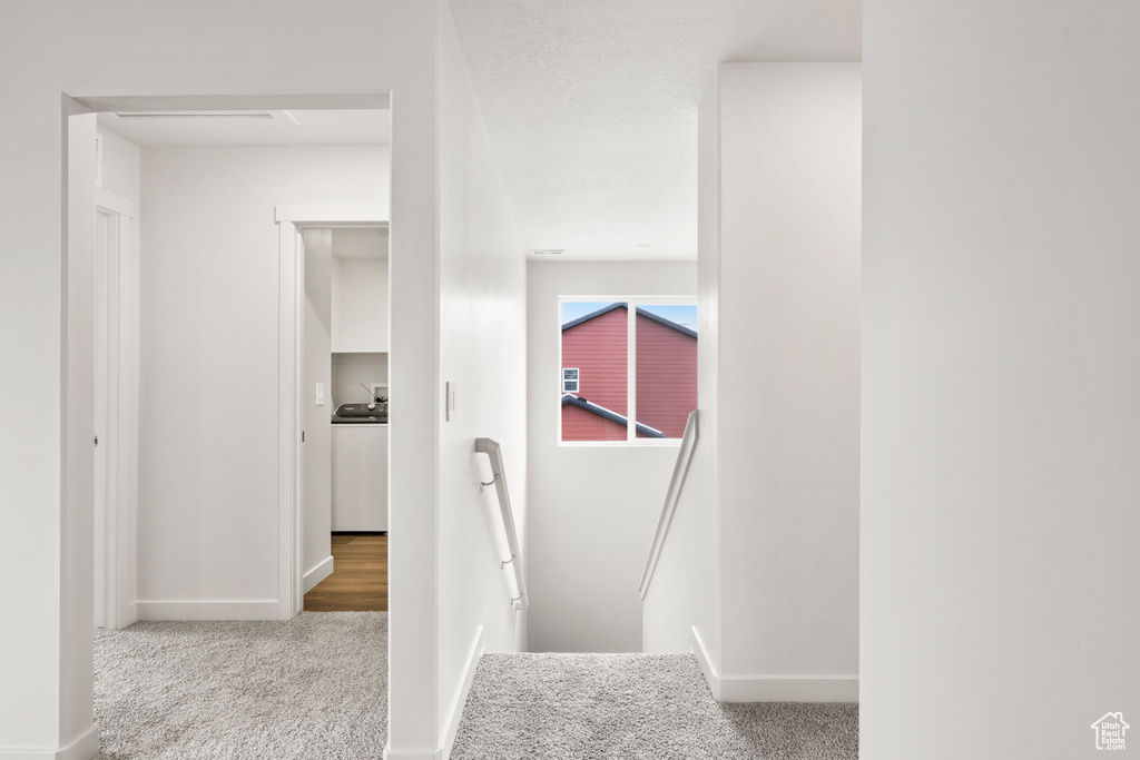 Stairway featuring baseboards and carpet floors