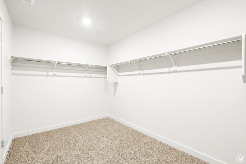 Walk in closet featuring carpet