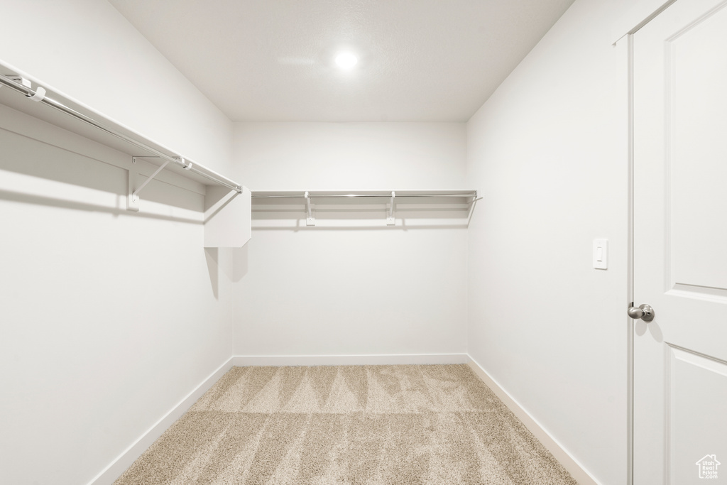 Walk in closet featuring carpet floors