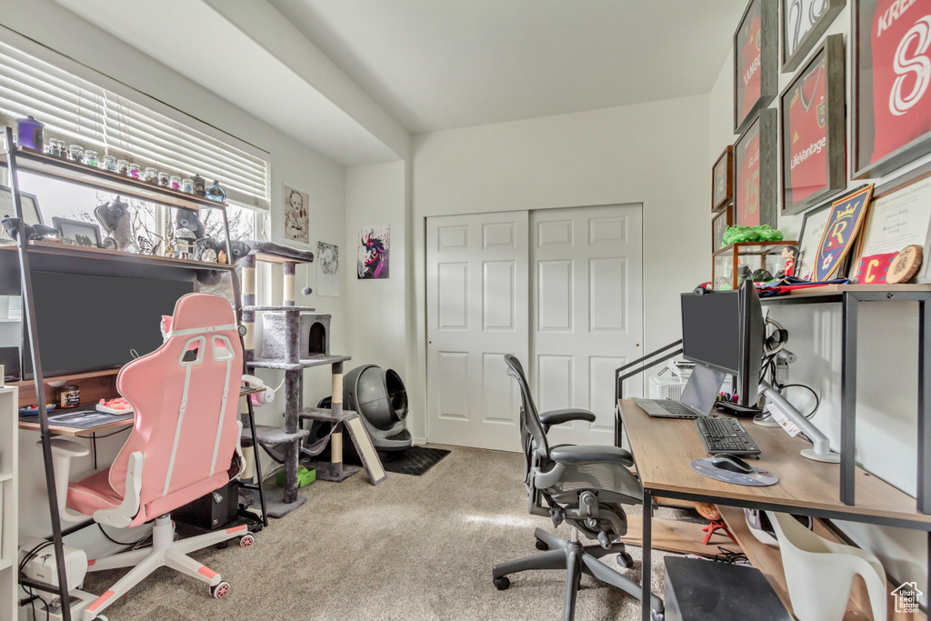View of carpeted office