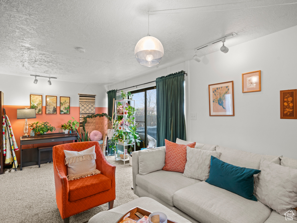 Carpeted living room with rail lighting and a textured ceiling