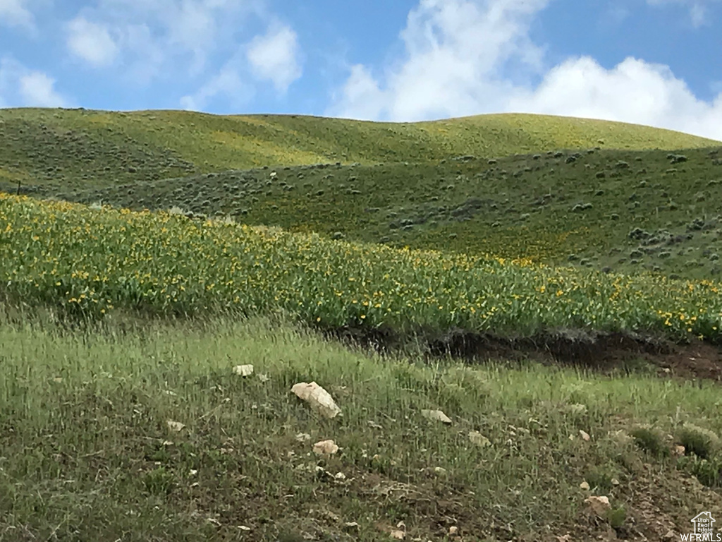 View of landscape with a rural view and a mountain view