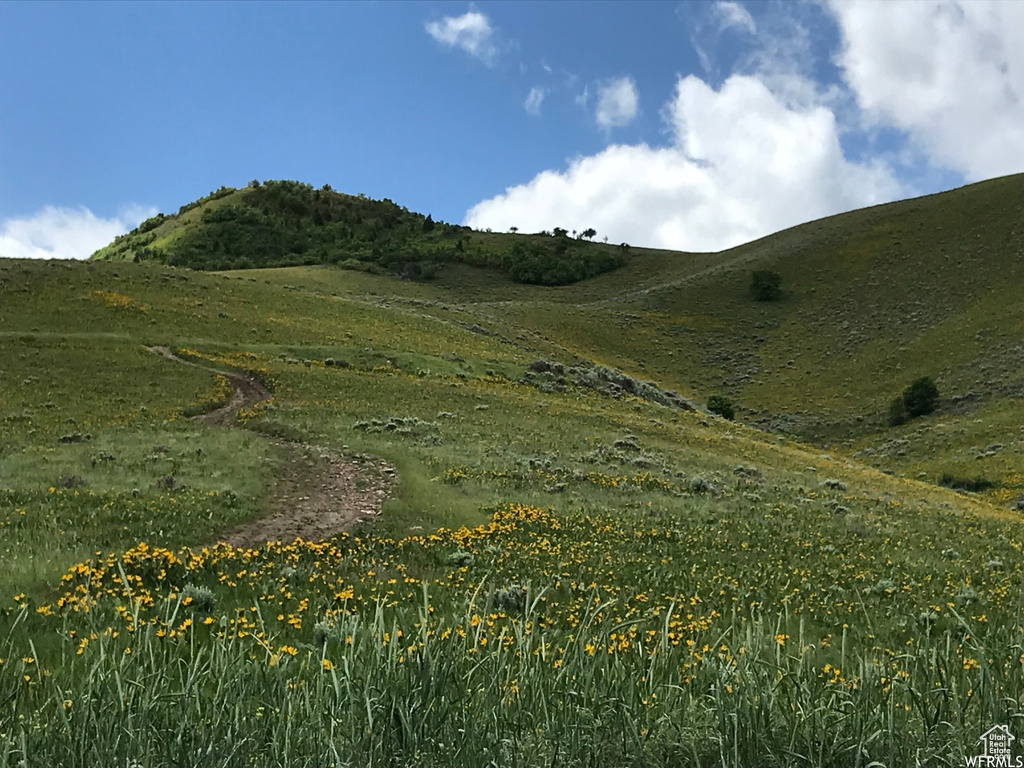 Mountain view