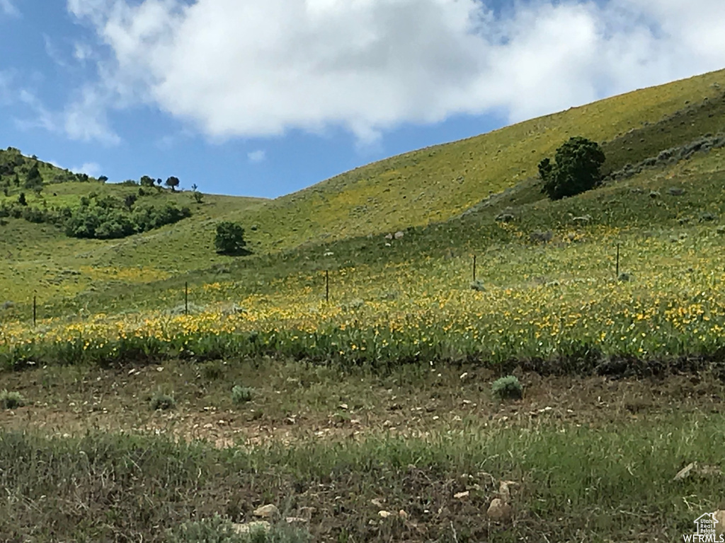 View of local wilderness featuring a rural view and a mountain view