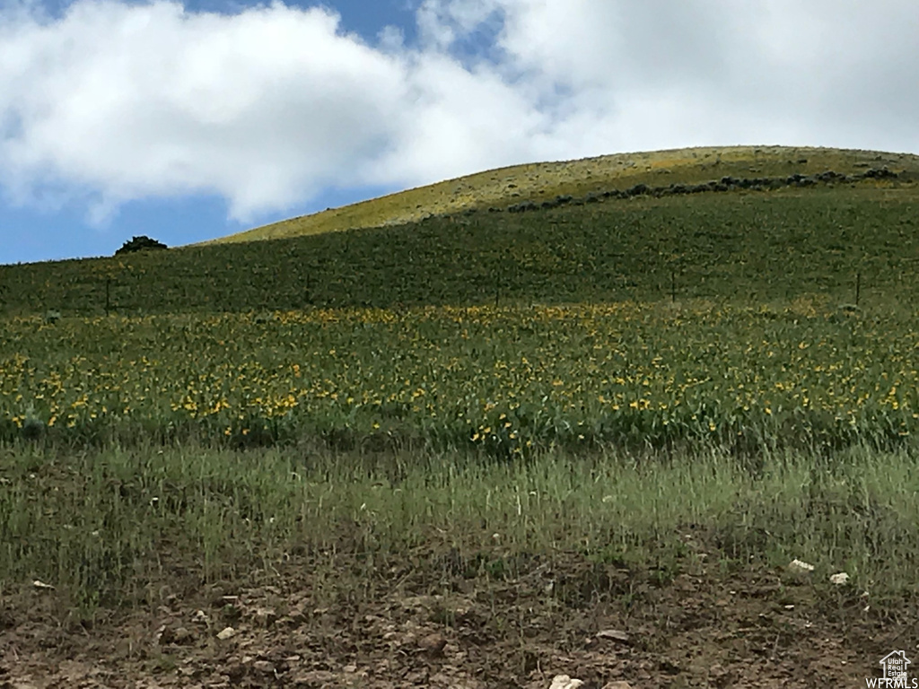View of landscape featuring a rural view