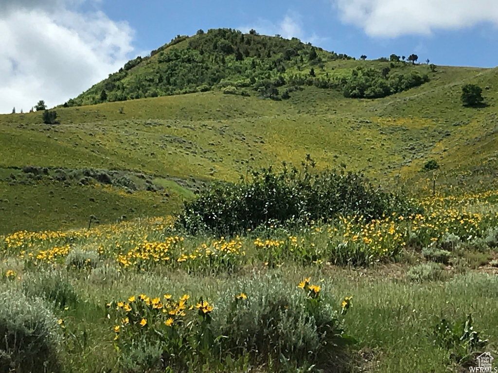 Mountain view