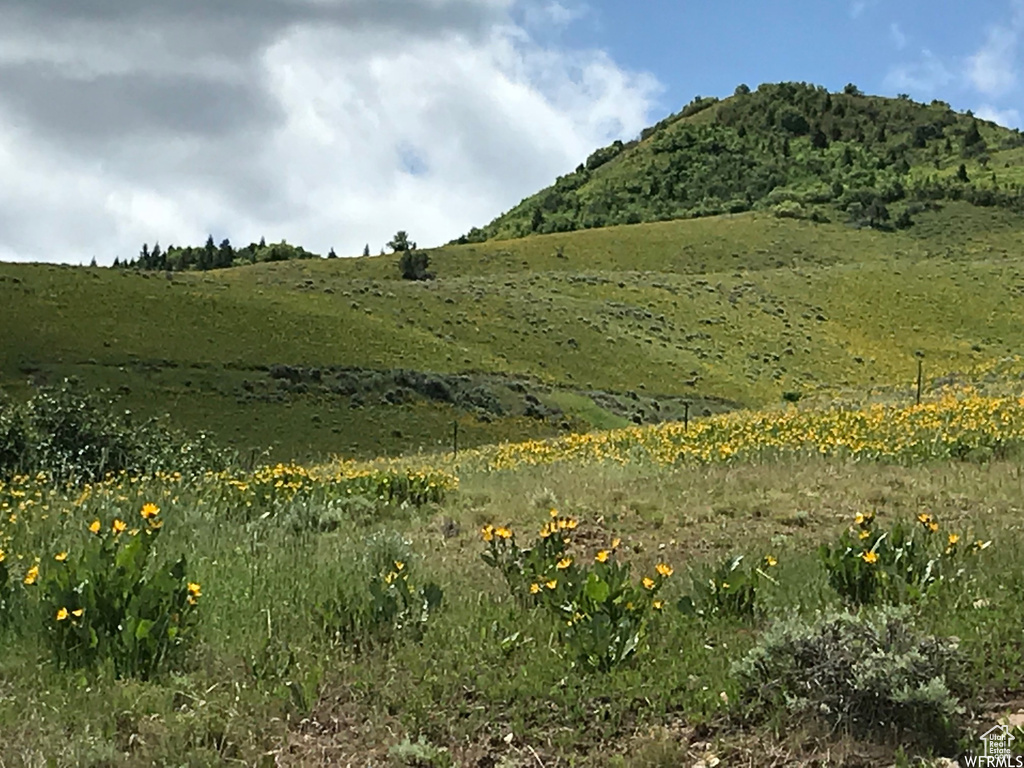 View of local wilderness featuring a rural view and a mountain view
