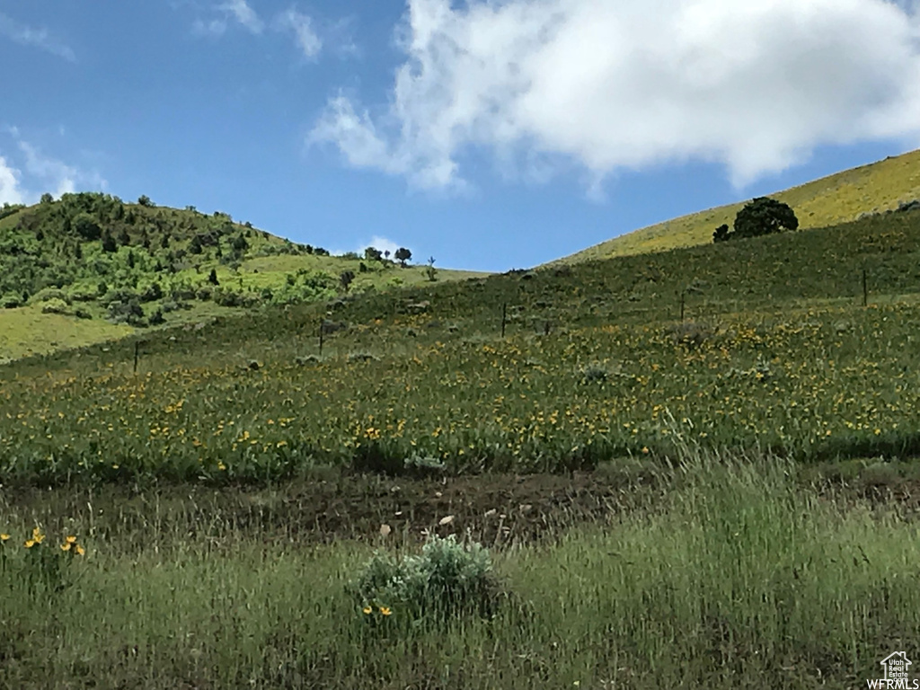 View of local wilderness featuring a mountain view