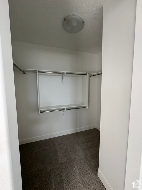 Spacious closet with dark carpet