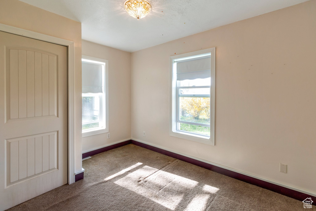Carpeted empty room featuring baseboards and plenty of natural light