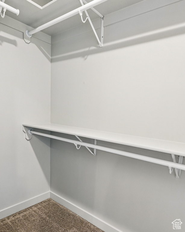 Spacious closet with dark colored carpet