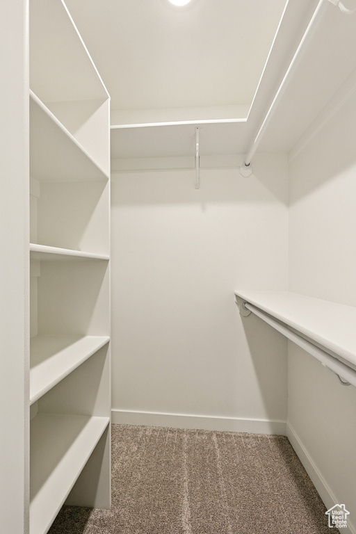Walk in closet featuring carpet
