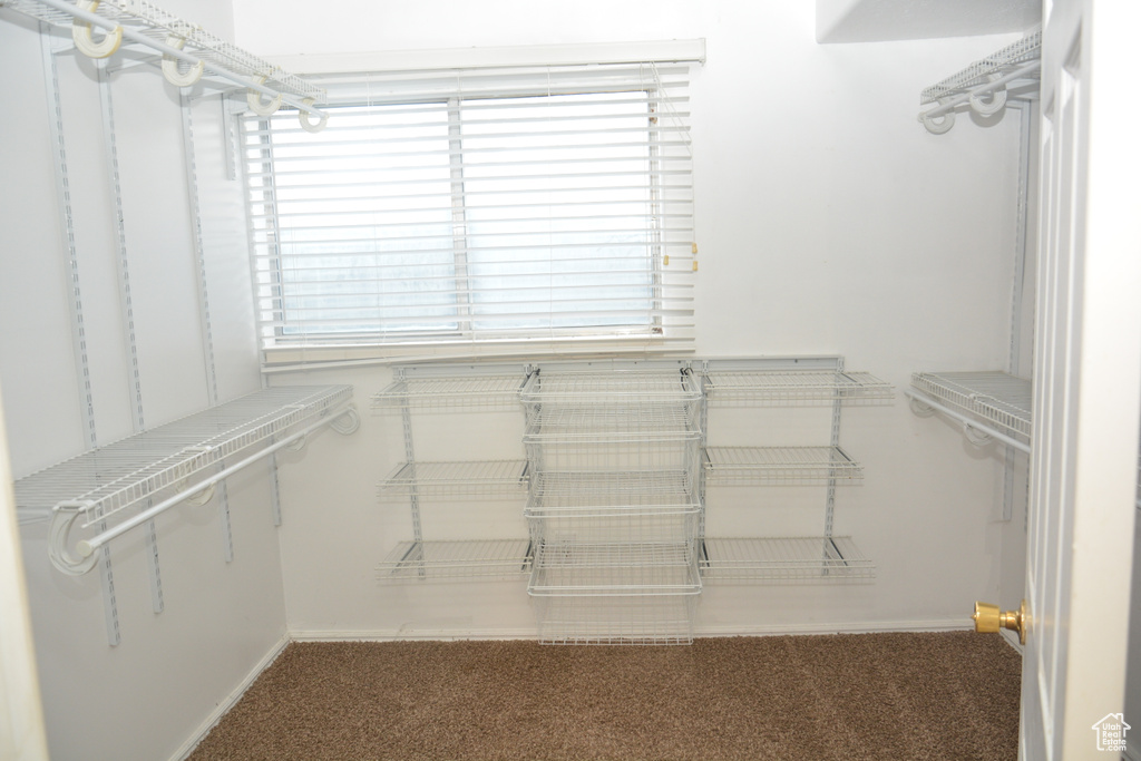 Spacious closet with carpet floors