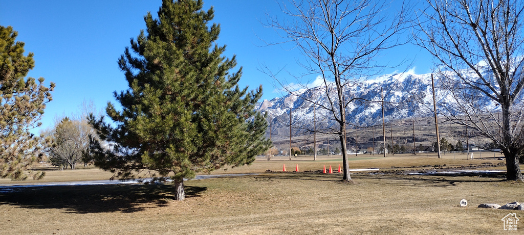 View of yard with a mountain view