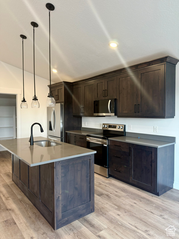 Kitchen with stainless steel appliances, light wood-style floors, a sink, and dark brown cabinets