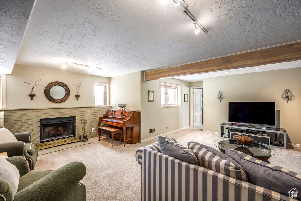 Living area featuring baseboards, carpet, and rail lighting
