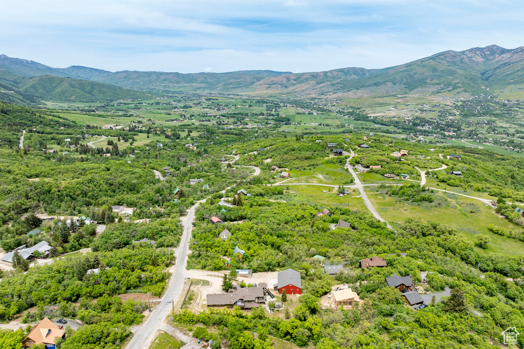 Bird's eye view of a mountain backdrop
