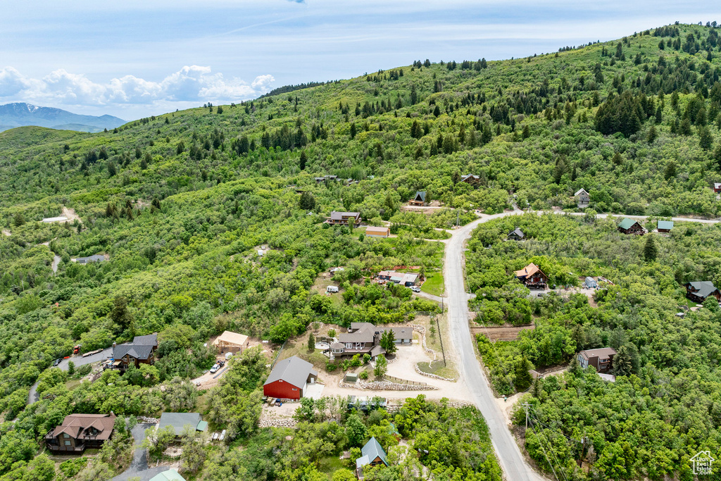 Bird's eye view of a forest and a mountainous background