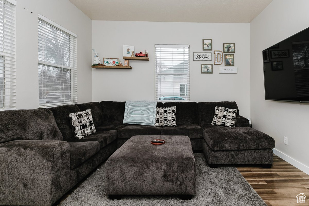 Living room featuring baseboards, a wealth of natural light, and wood finished floors