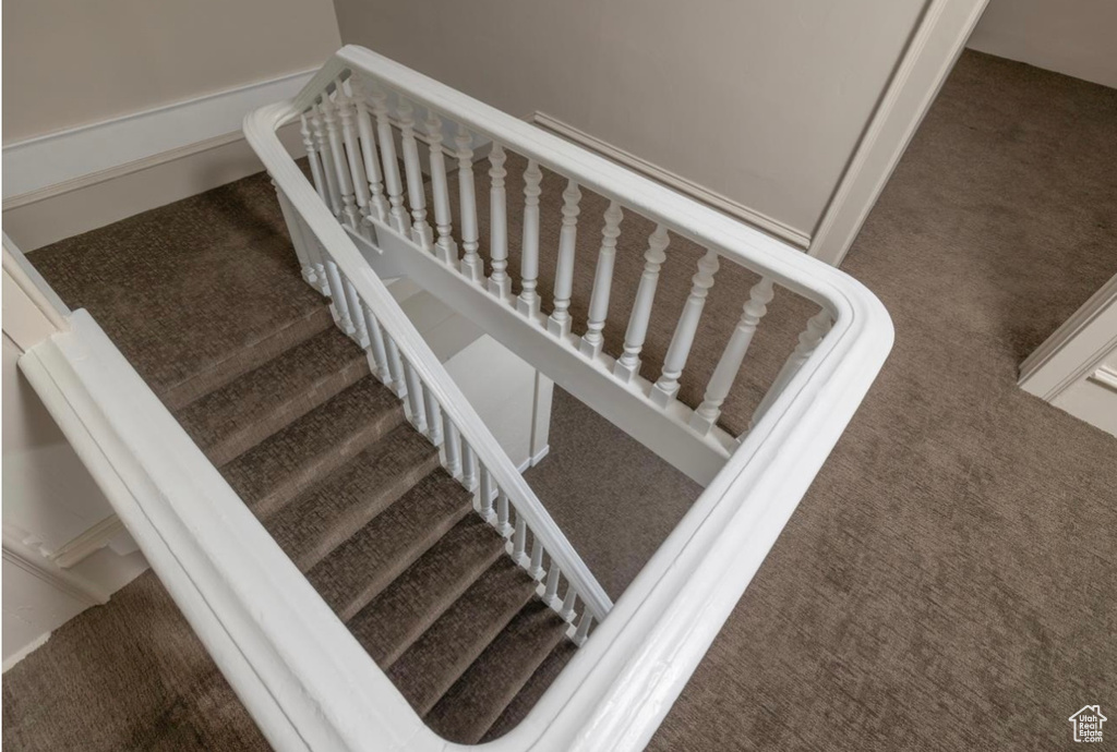 Stairs with carpet flooring