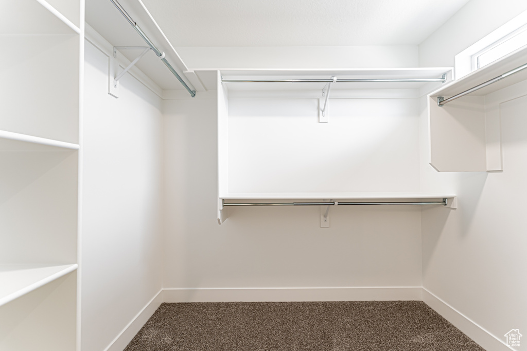 Walk in closet with carpet flooring