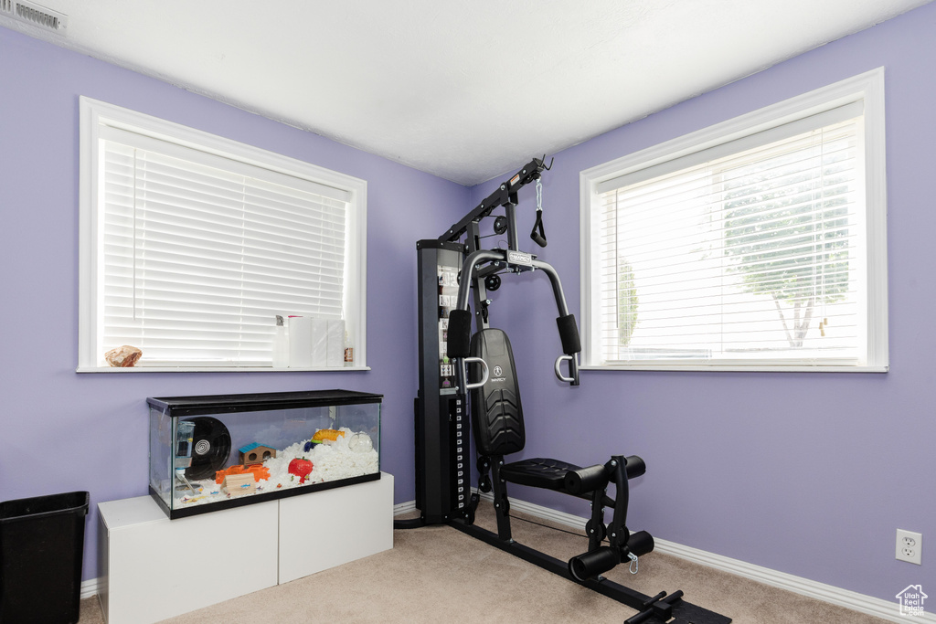 Workout room featuring carpet, visible vents, and baseboards