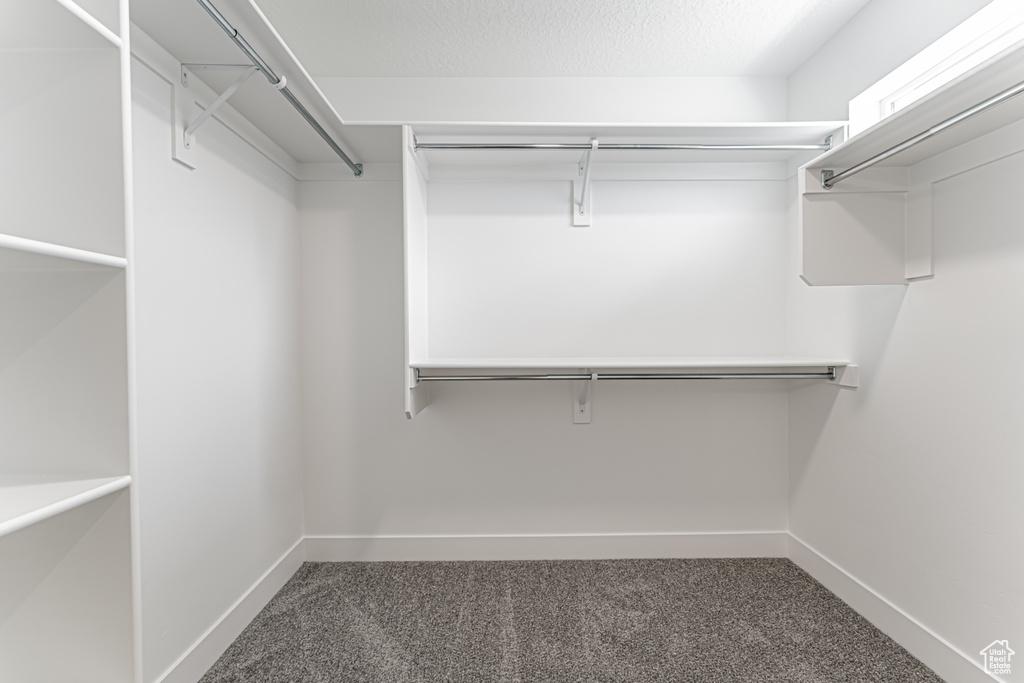 Spacious closet with carpet floors