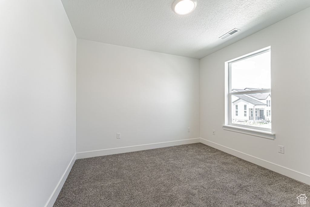 Spare room featuring carpet and a textured ceiling