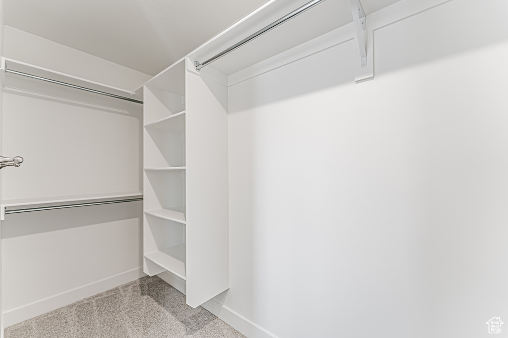 Spacious closet featuring carpet floors