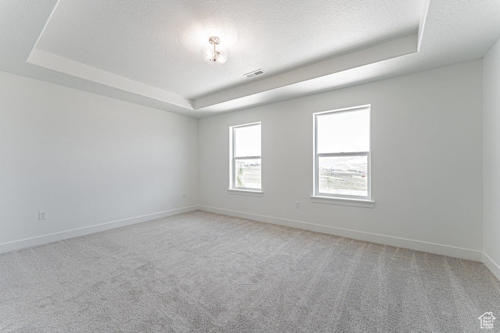 Empty room with a tray ceiling, light carpet, and a textured ceiling