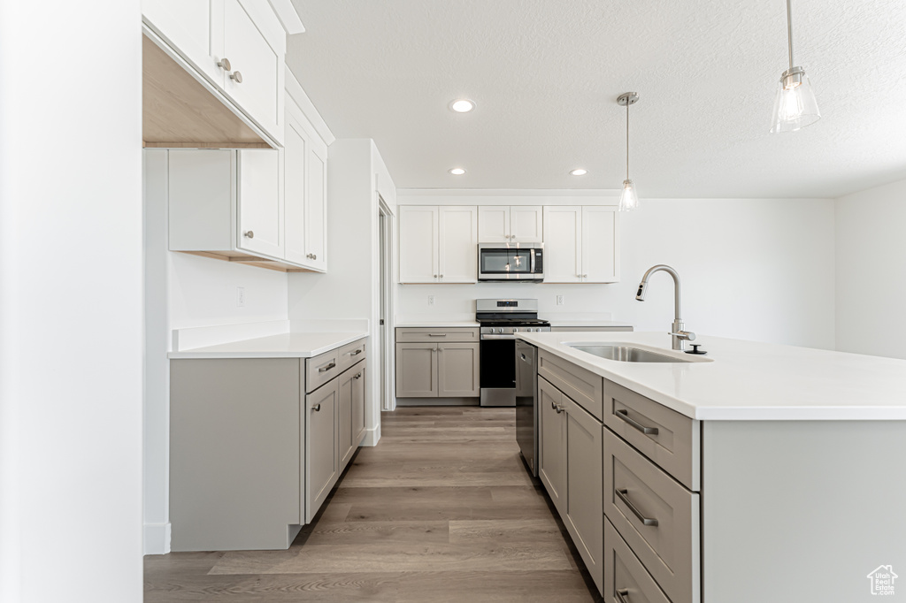 Kitchen with stainless steel appliances, gray cabinetry, recessed lighting, light wood-type flooring, and light countertops