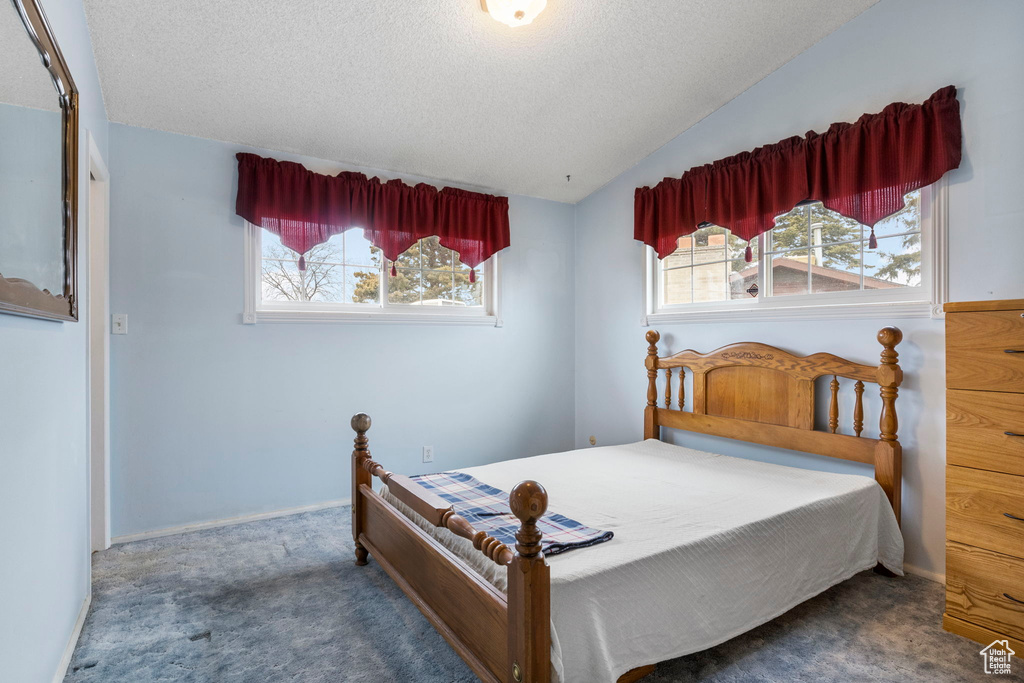 Bedroom featuring lofted ceiling, carpet flooring, a textured ceiling, and multiple windows