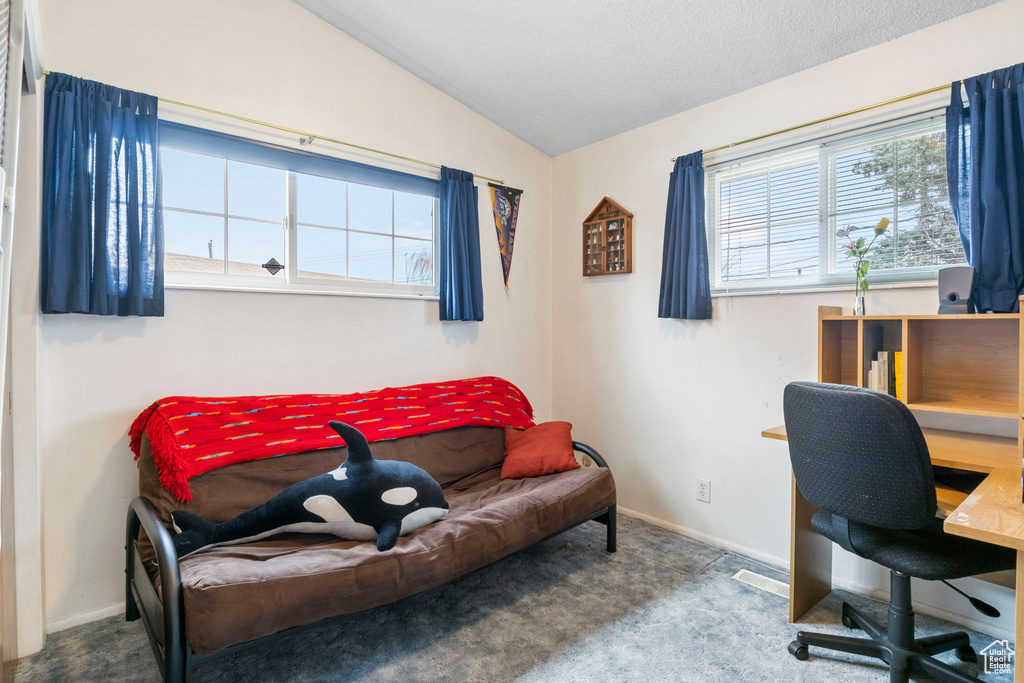 Office with carpet flooring, vaulted ceiling, and baseboards